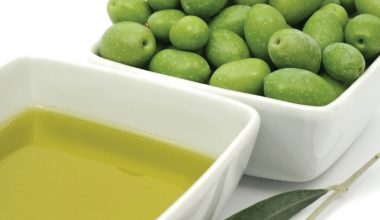 Zeytinyağı Üreticileri